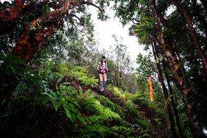 BIB: 
                            <button type="button" onclick="openModal(26205347)" class="btn btn-primary btn-sm float-right btn-popup" data-toggle="modal" data-target=".modal-high-quality">
                        <i class="fas fa-shopping-cart"></i> Add to Cart
                    </button>
                                            <button type="button" onclick="isThisMe(26205347, true)" class="btn btn-success btn-sm float-right btn-popup btn-isme hidden" data-toggle="tooltip" data-placement="bottom" title="นี่คือรูปของคุณใช่ไหม คลิกที่นี่เพื่อเอาเข้าอัลบั้ม">
                        <i class="fas fa-plus"></i> Add to album
                    </button>
                    <button type="button" onclick="isThisMe(26205347, false)" class="btn btn-warning btn-sm float-right btn-popup btn-isnotme hidden">
                        <i class="fas fa-ban"></i> Remove from album
                    </button>